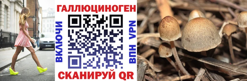 Псилоцибиновые грибы Psilocybe  Купить закладки  Славянск-на-Кубани 